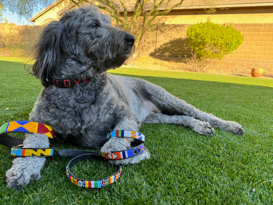 Handmade Beaded Leather Dog Collar – A Work of Art with a Purpose