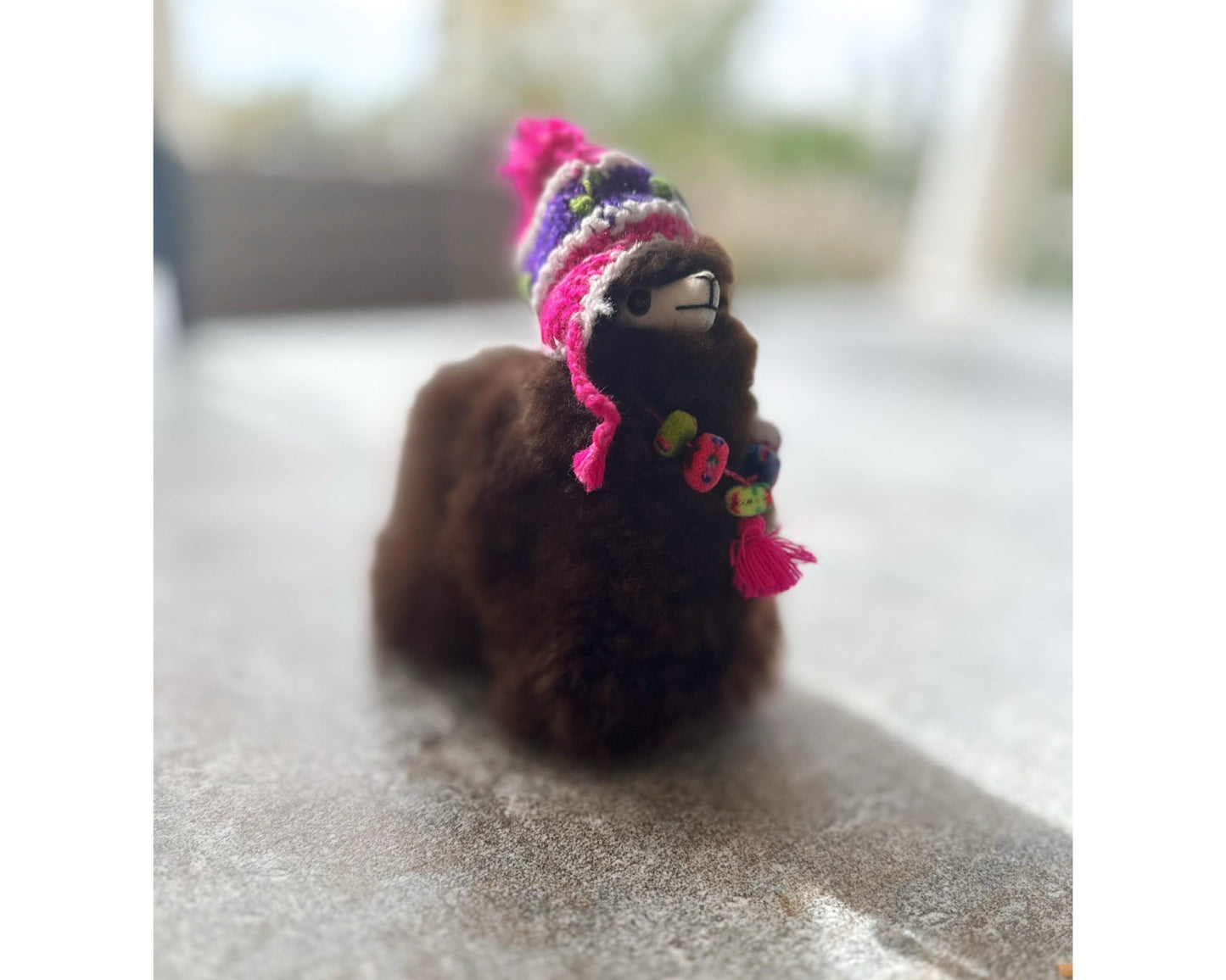 Raul a Llama from Peru