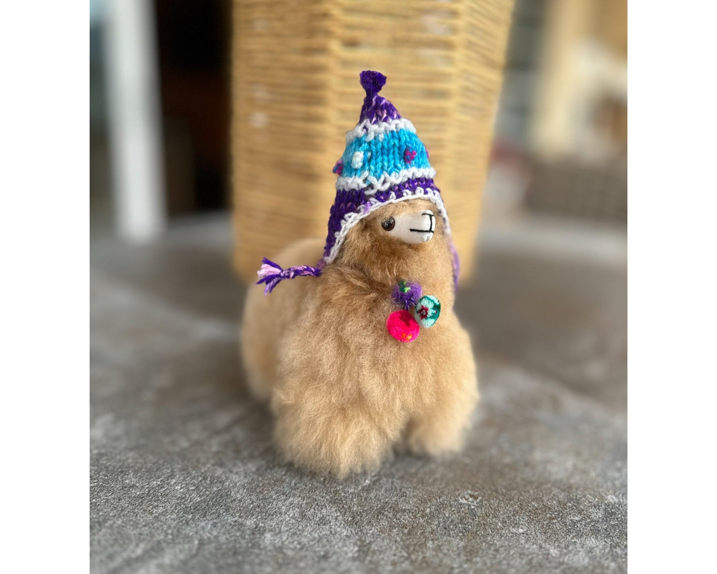Marivelle a Llama from Peru