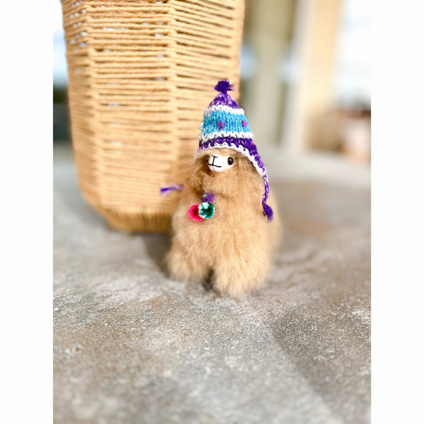 Marivelle a Llama from Peru