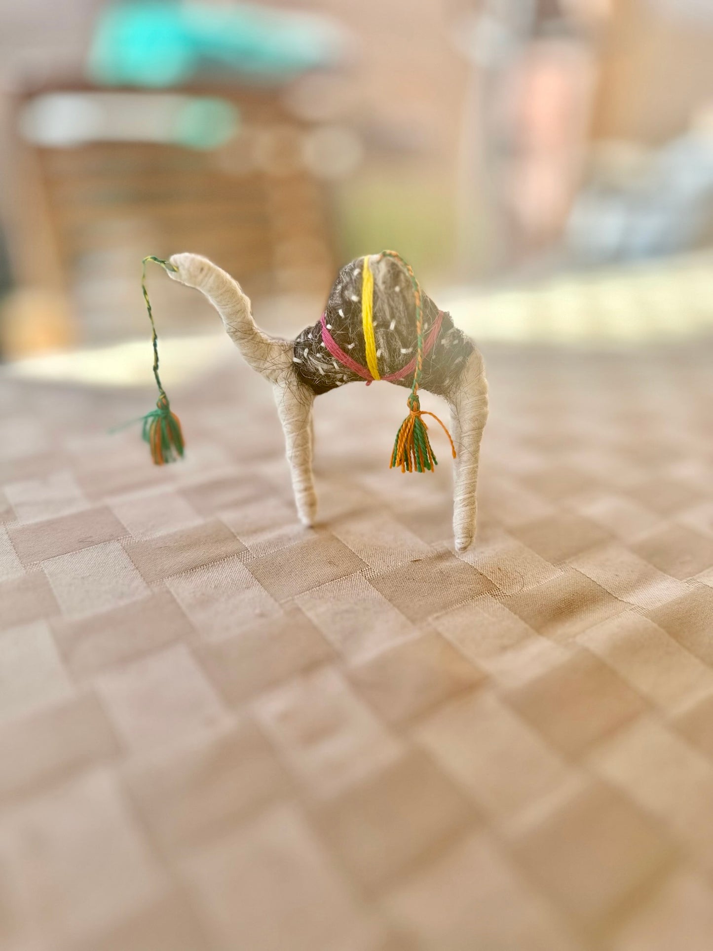 Faith a Camel from the Sahara