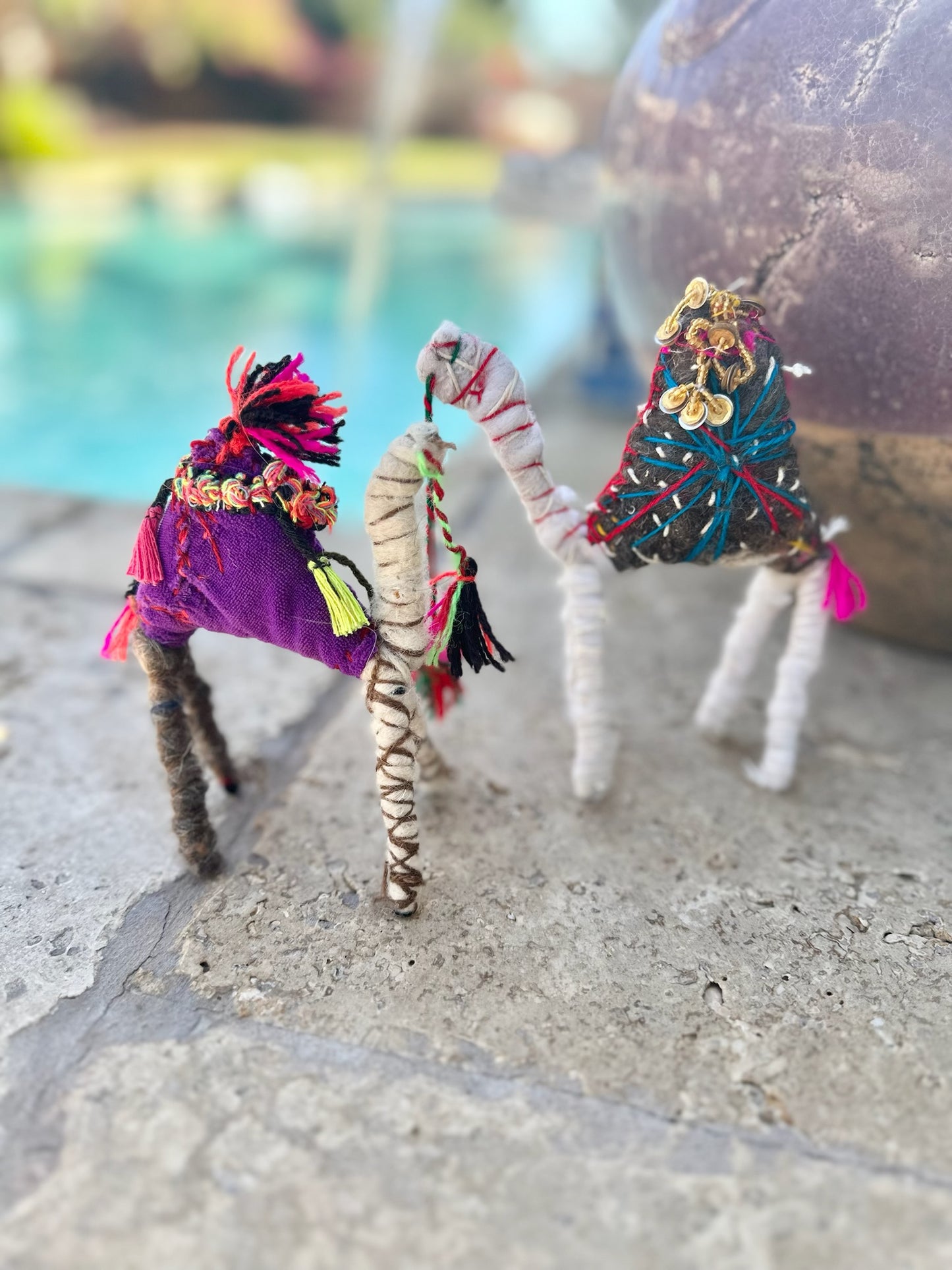 Beyonce is a Camel from the Sahara