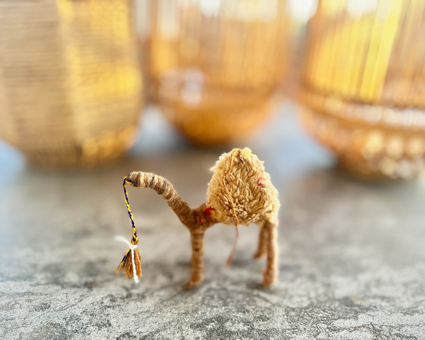 Portia a Camel from the Sahara