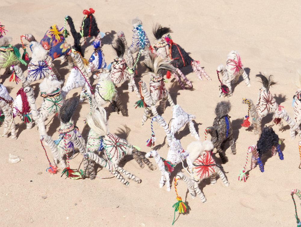 Pinkie a Camel of the Sahara
