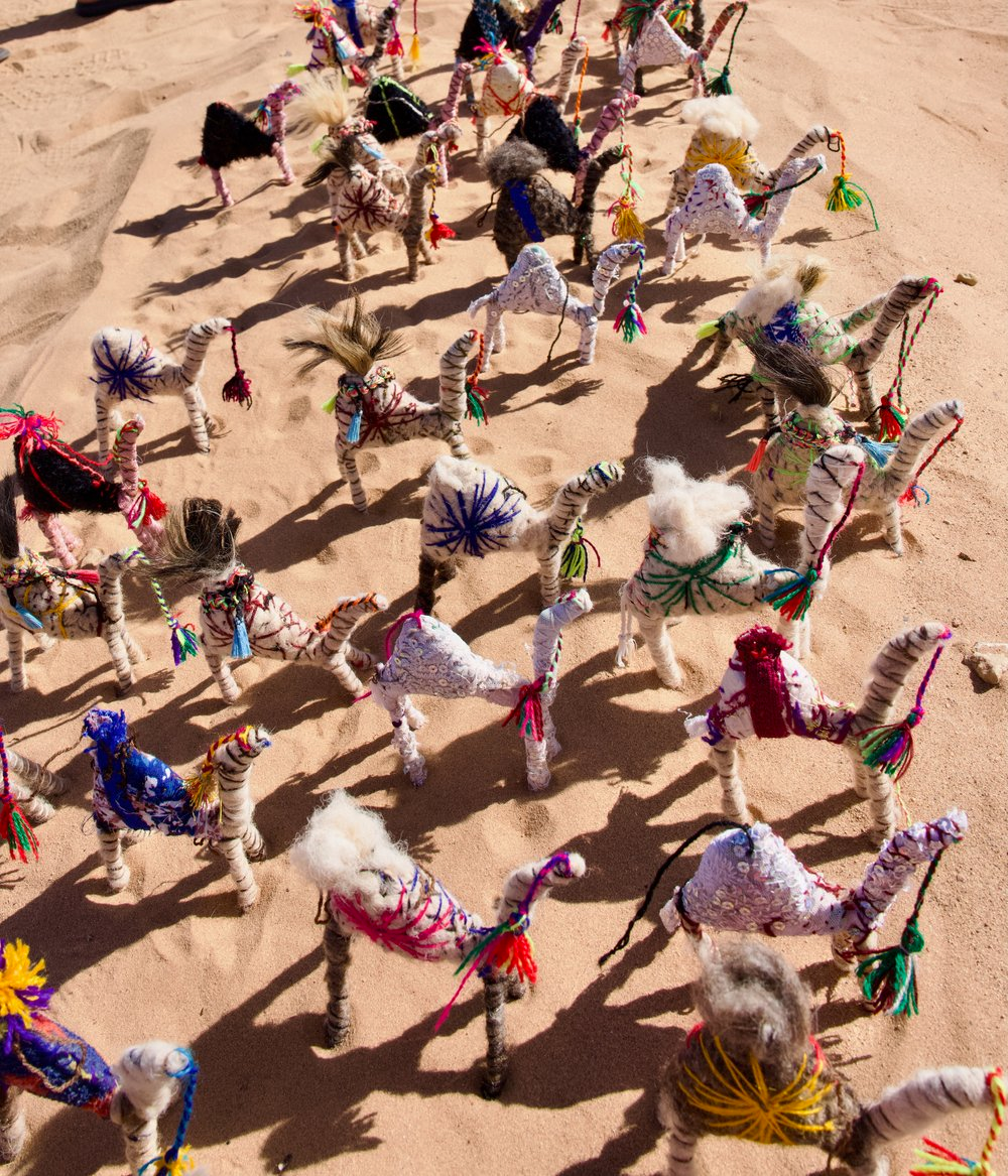 Pinkie a Camel of the Sahara