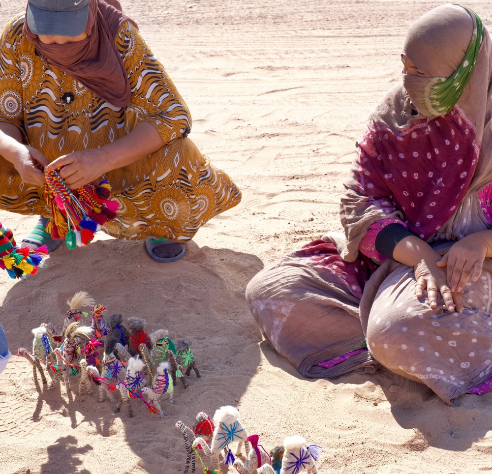 Pinkie a Camel of the Sahara