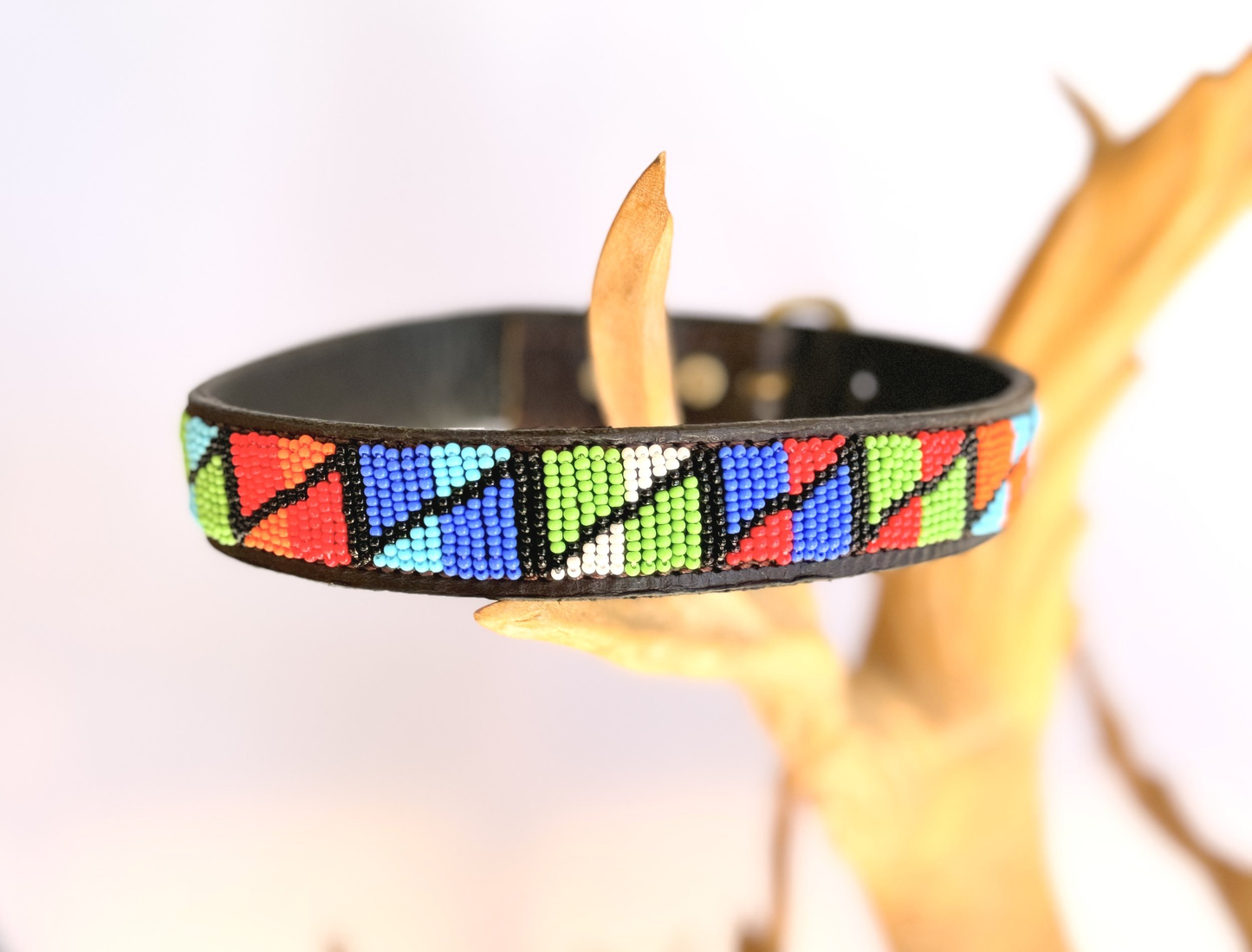 Dog Collar - Medium