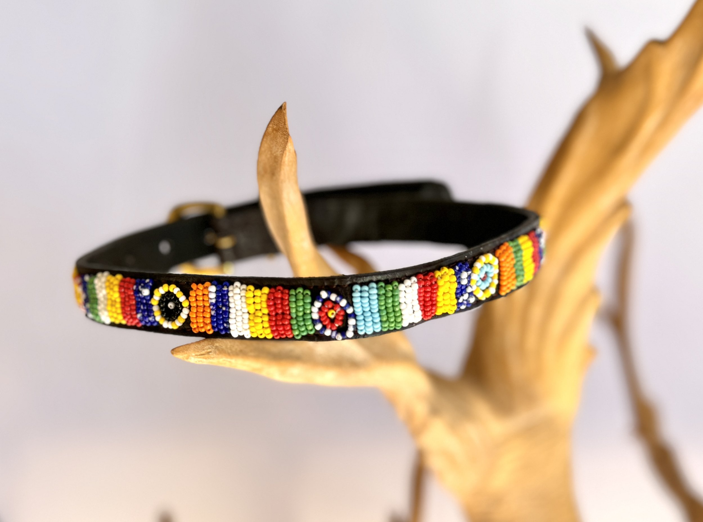 Dog Collar - Medium