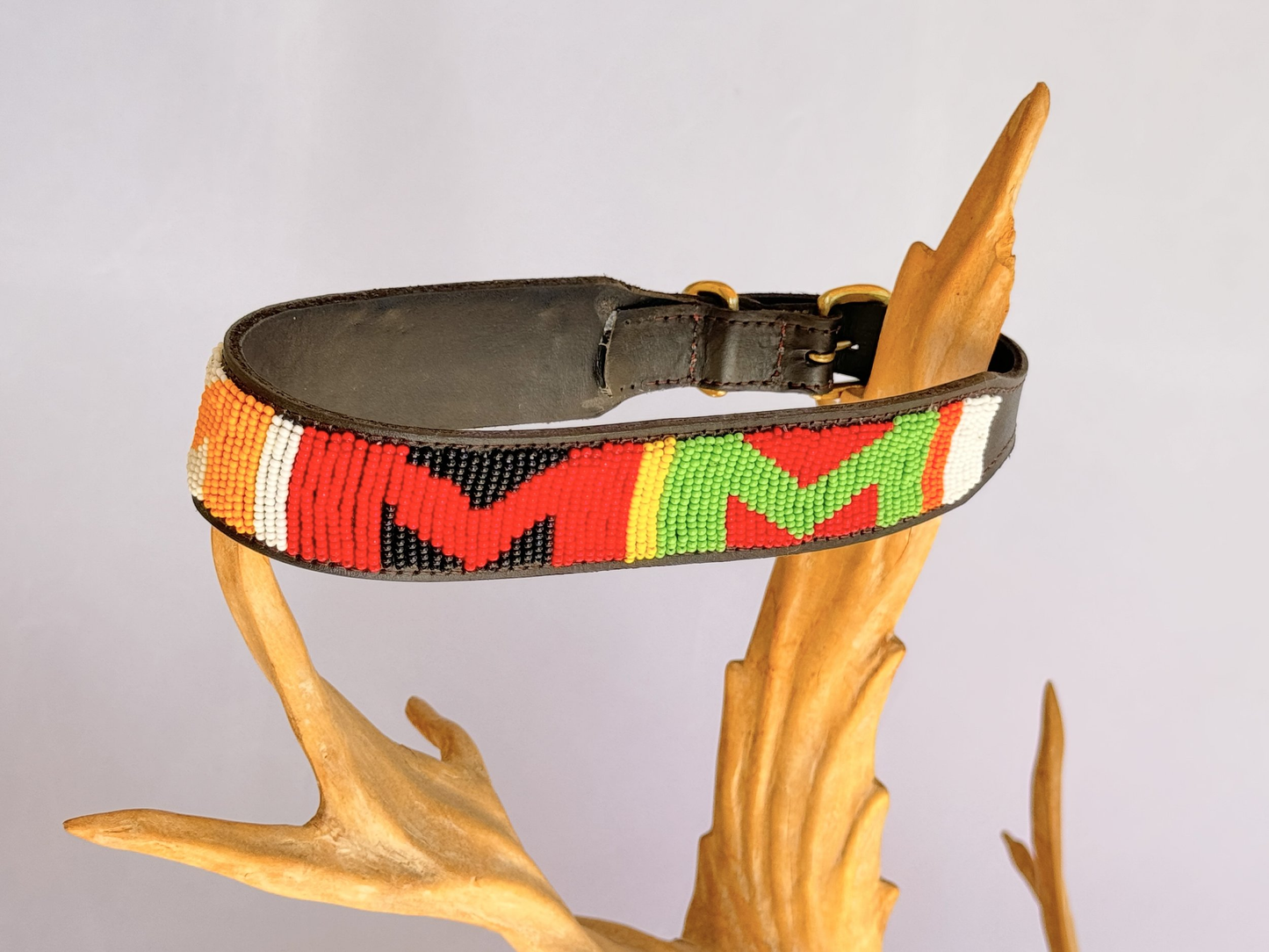 Dog Collar - Medium