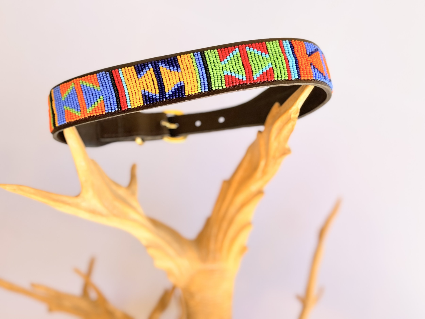 Dog Collar Large