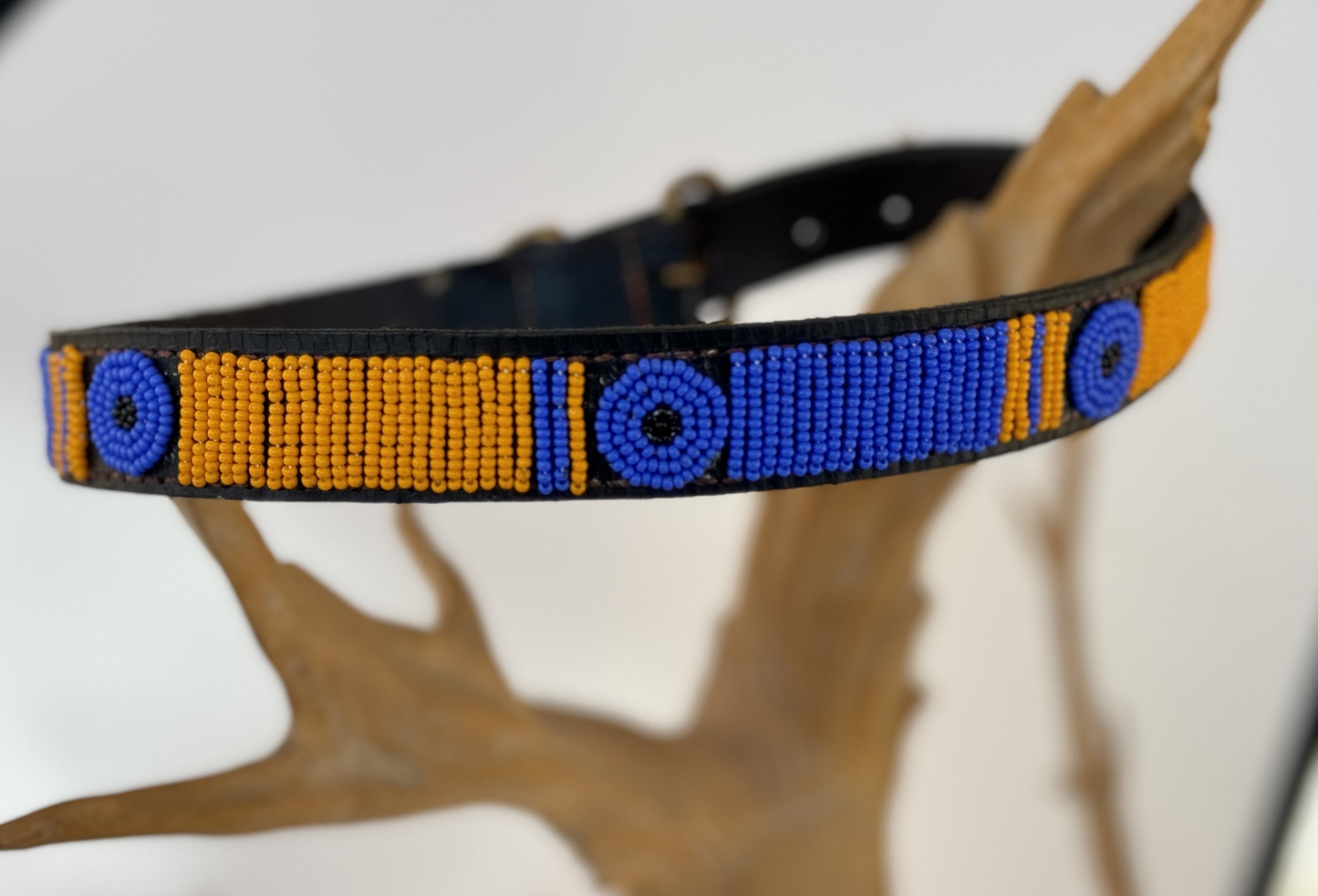 Dog Collar - Large