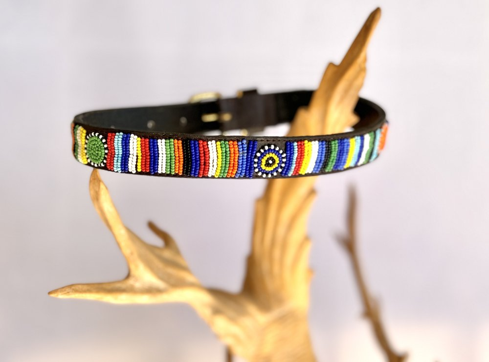 Dog Collar - Medium
