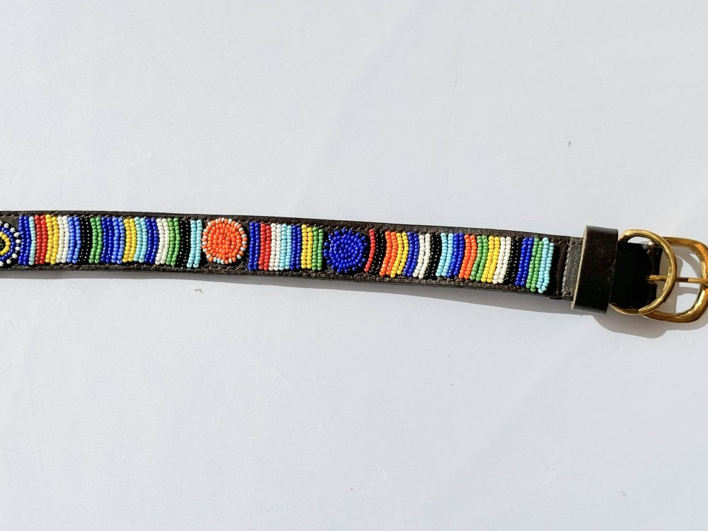 Dog Collar - Medium