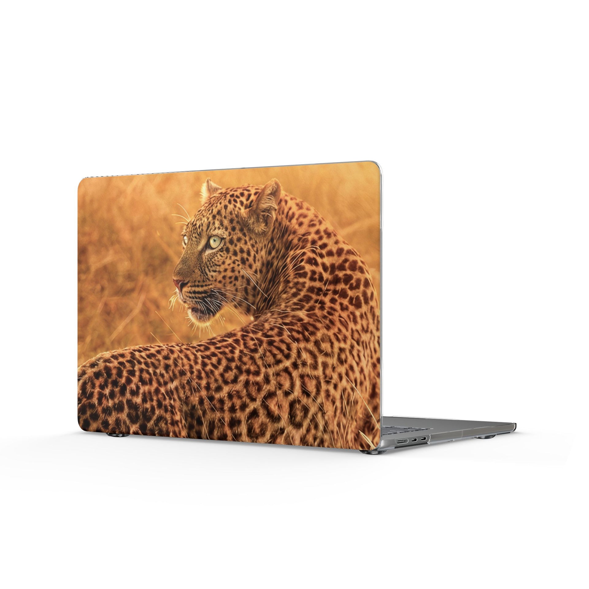 Clear MacBook Cases