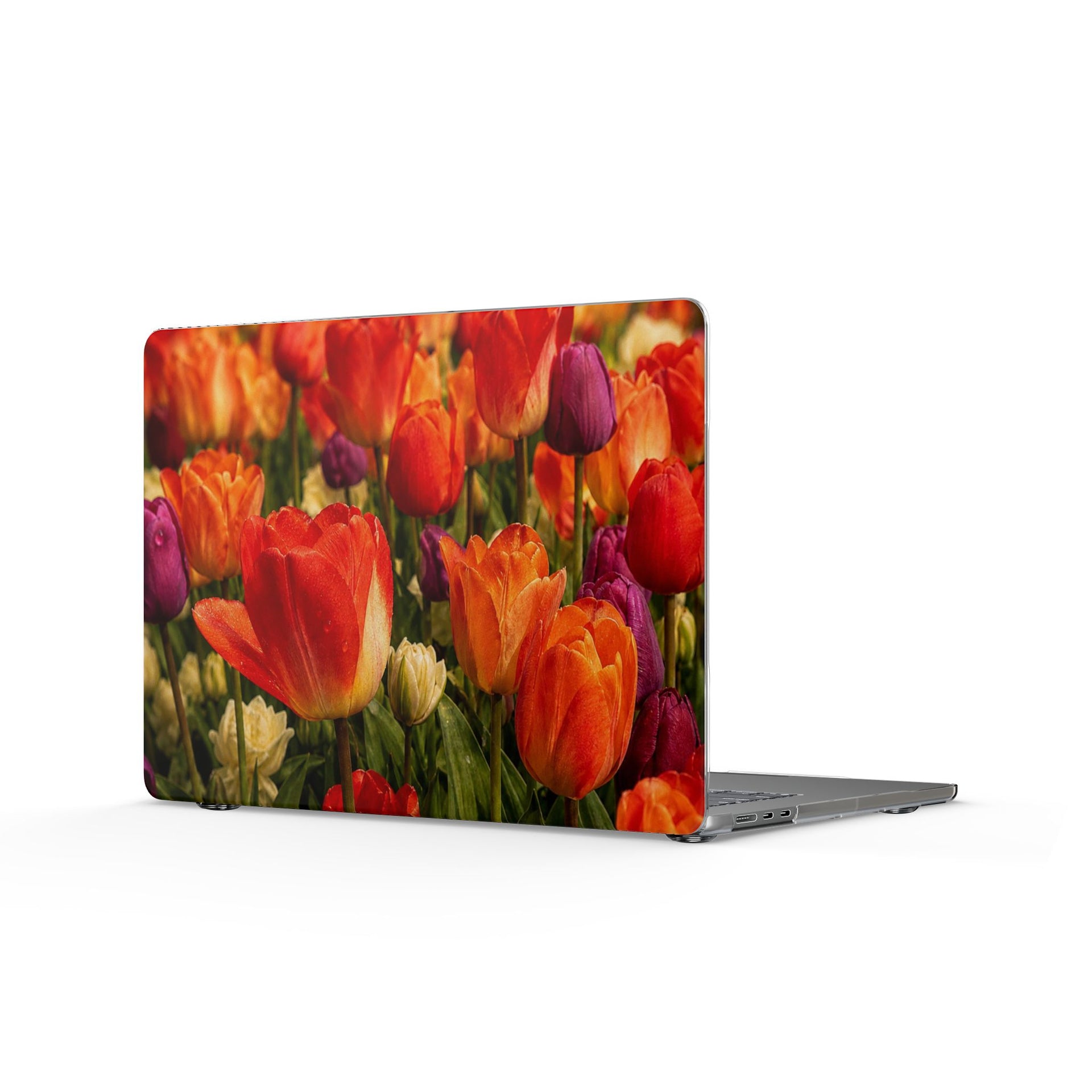 Clear MacBook Cases