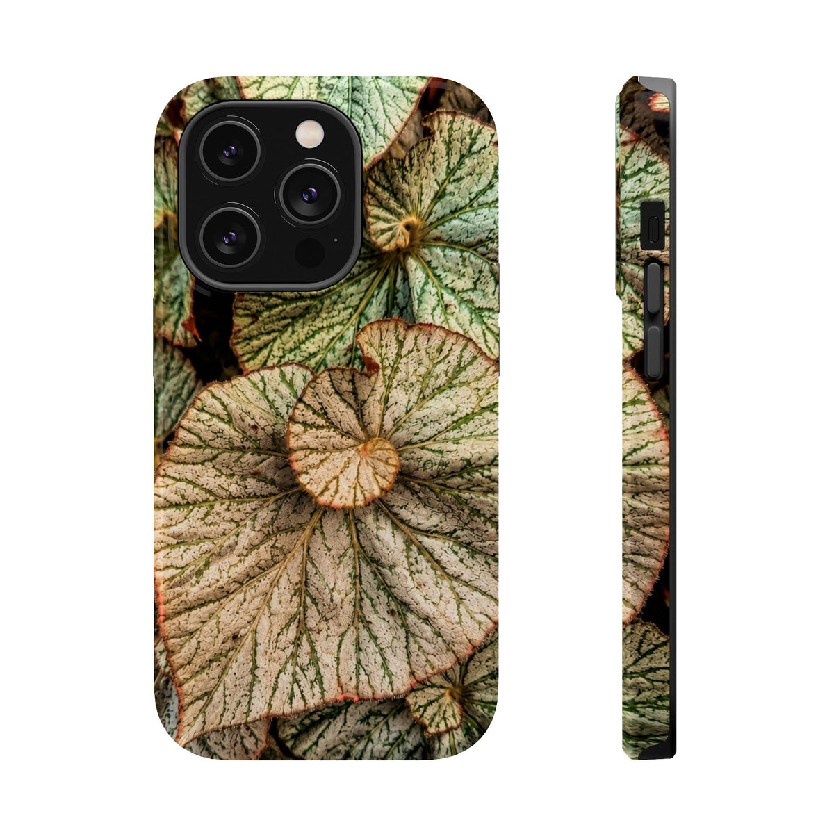 Botanical Begonia Magnetic Impact-Resistant Phone Case — Photo by Maggie