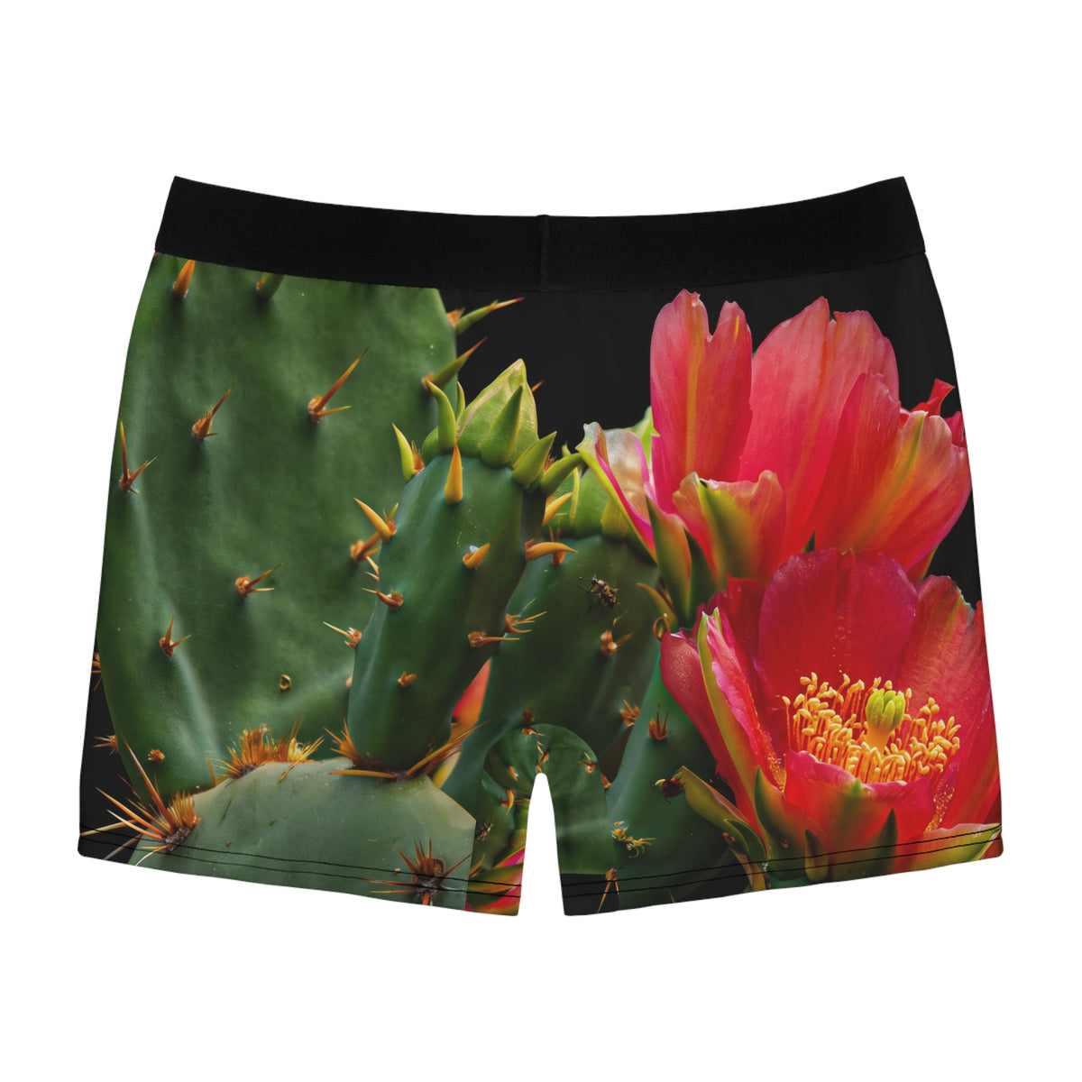 Cactus & Praying Mantis Boxer Briefs — Desert Floral Men's Underwear