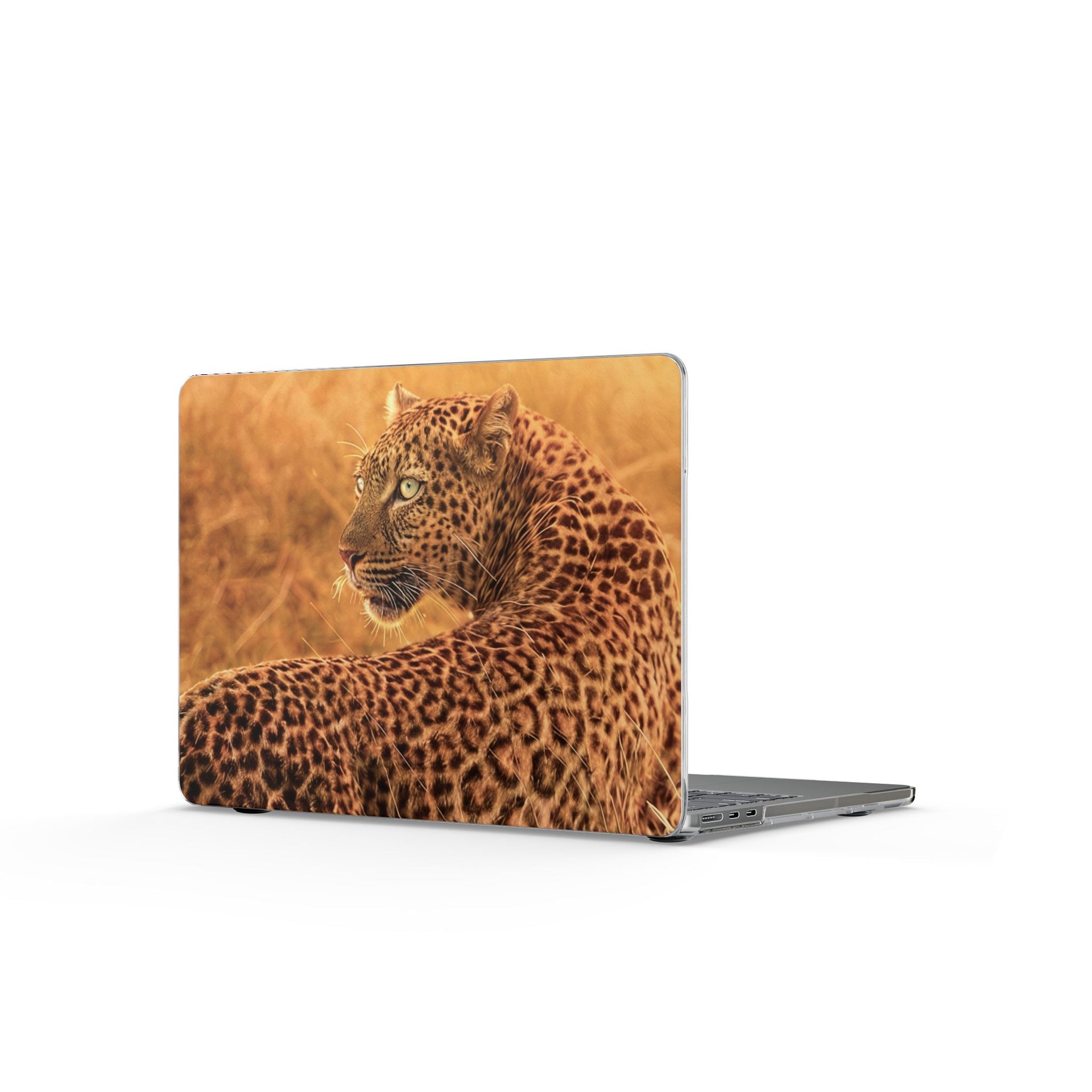 Clear MacBook Cases