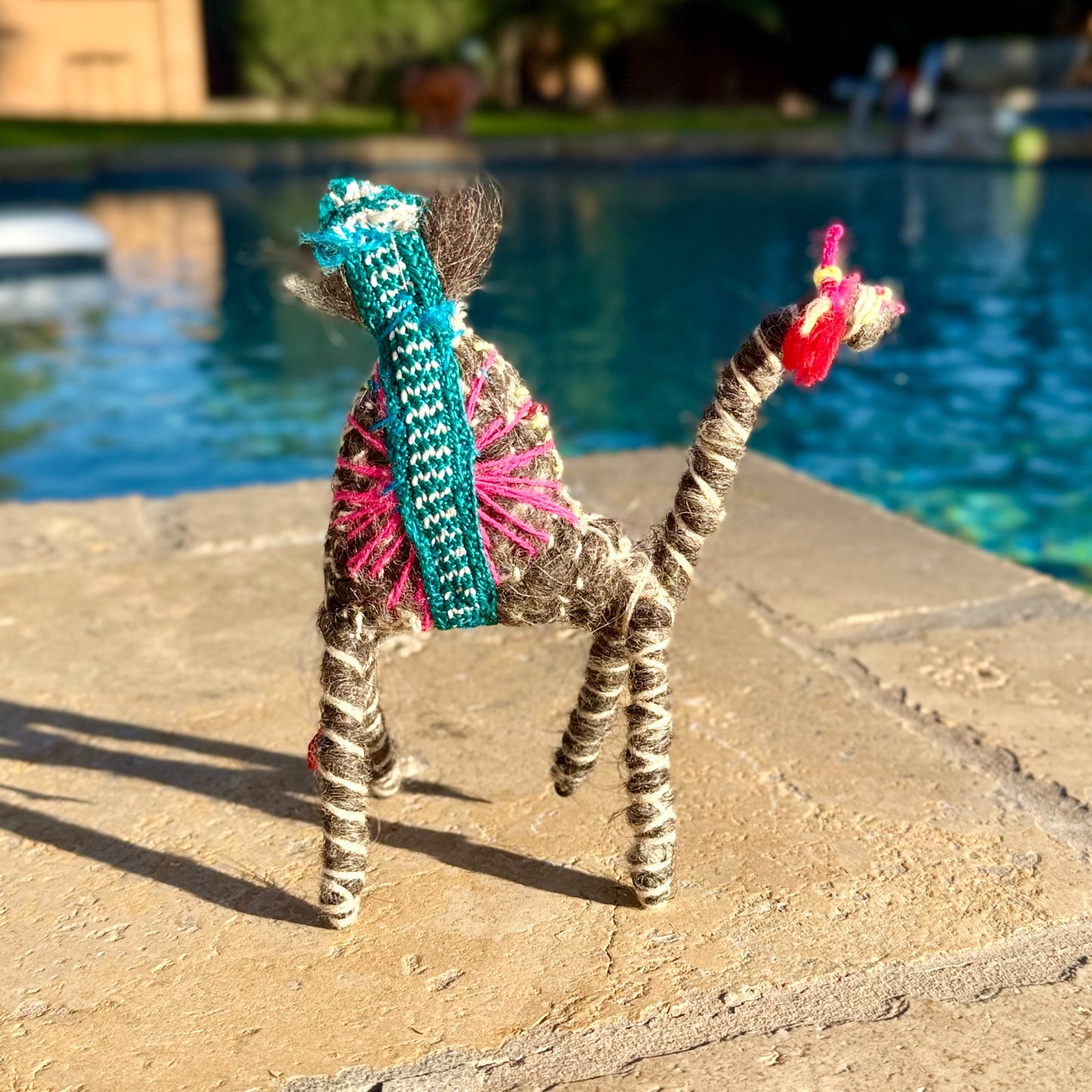 Handmade Sahara Desert Camel, “Ziri”