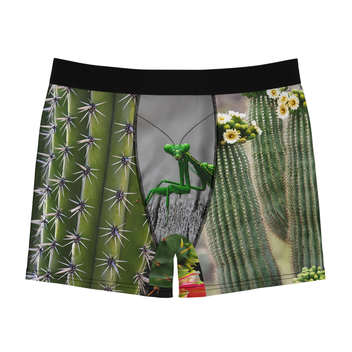 Cactus & Praying Mantis Boxer Briefs — Desert Floral Men's Underwear
