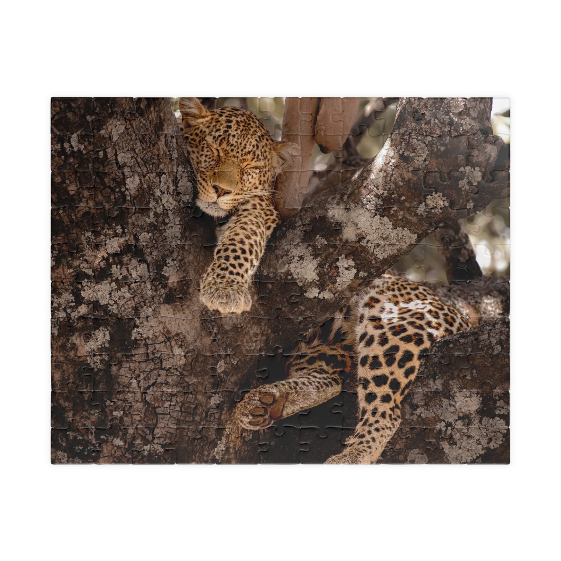 Puzzle (110, 252, 520, 1014-piece)