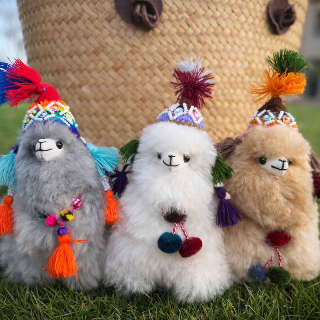 Benito an Alpaca from Peru