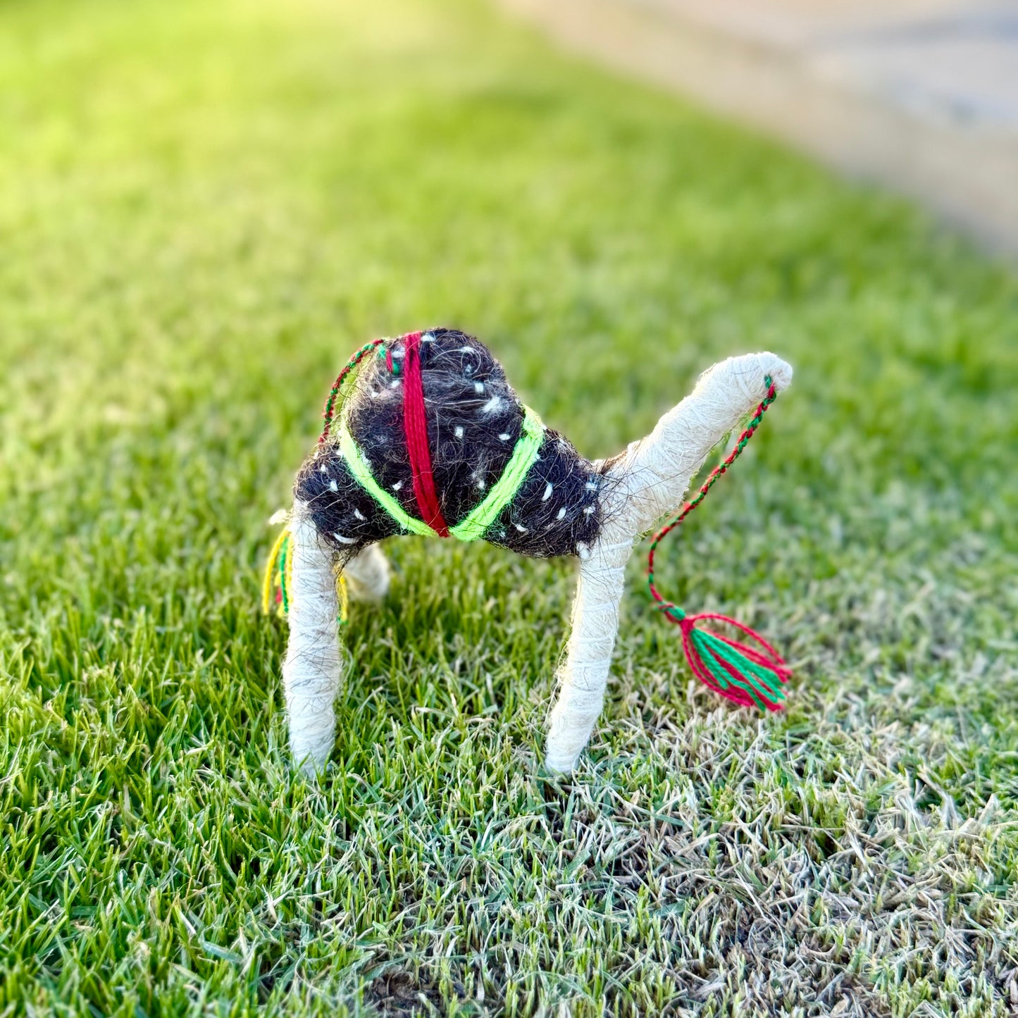 Handmade Sahara Desert Camel - “Nadir”