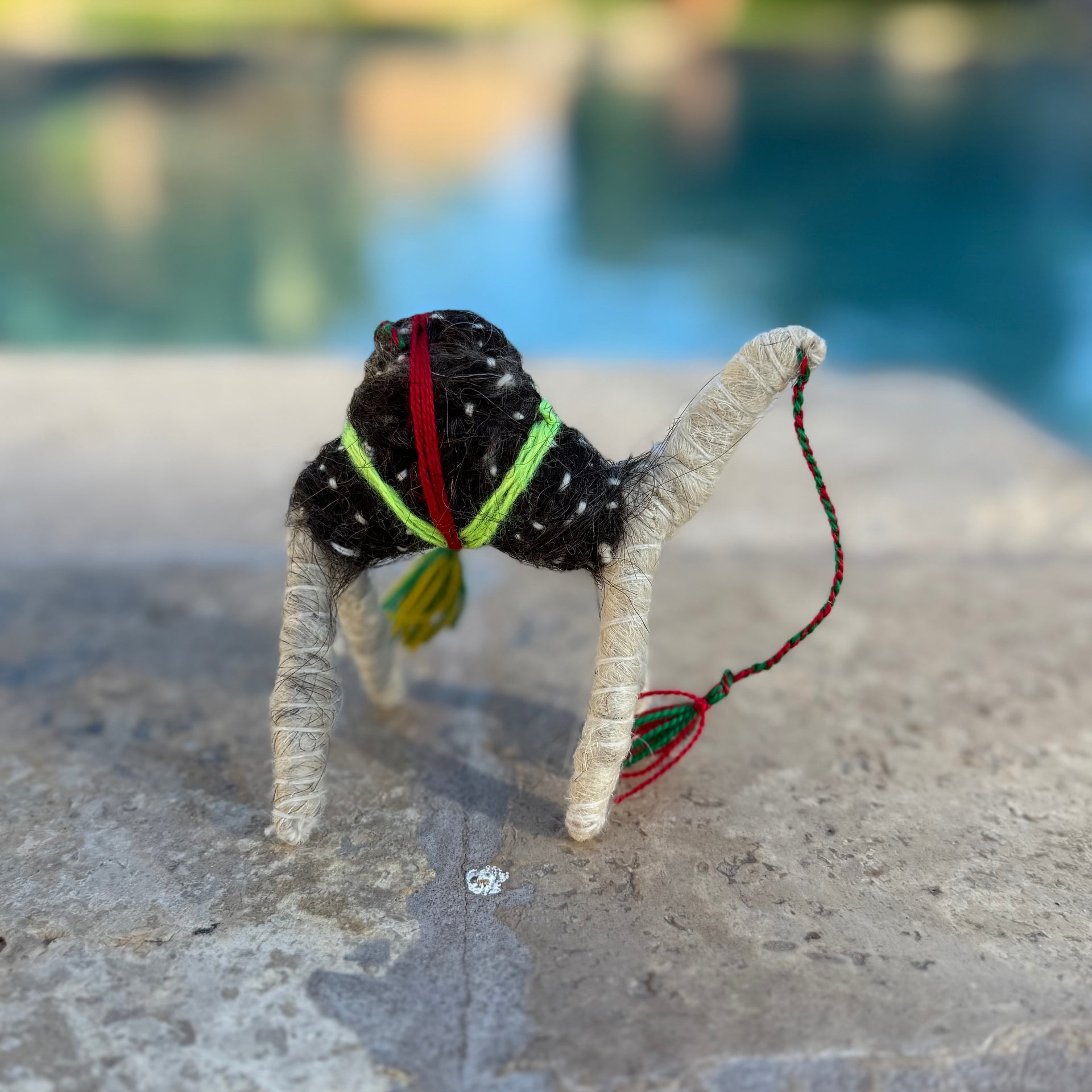 Handmade Sahara Desert Camel - “Nadir”