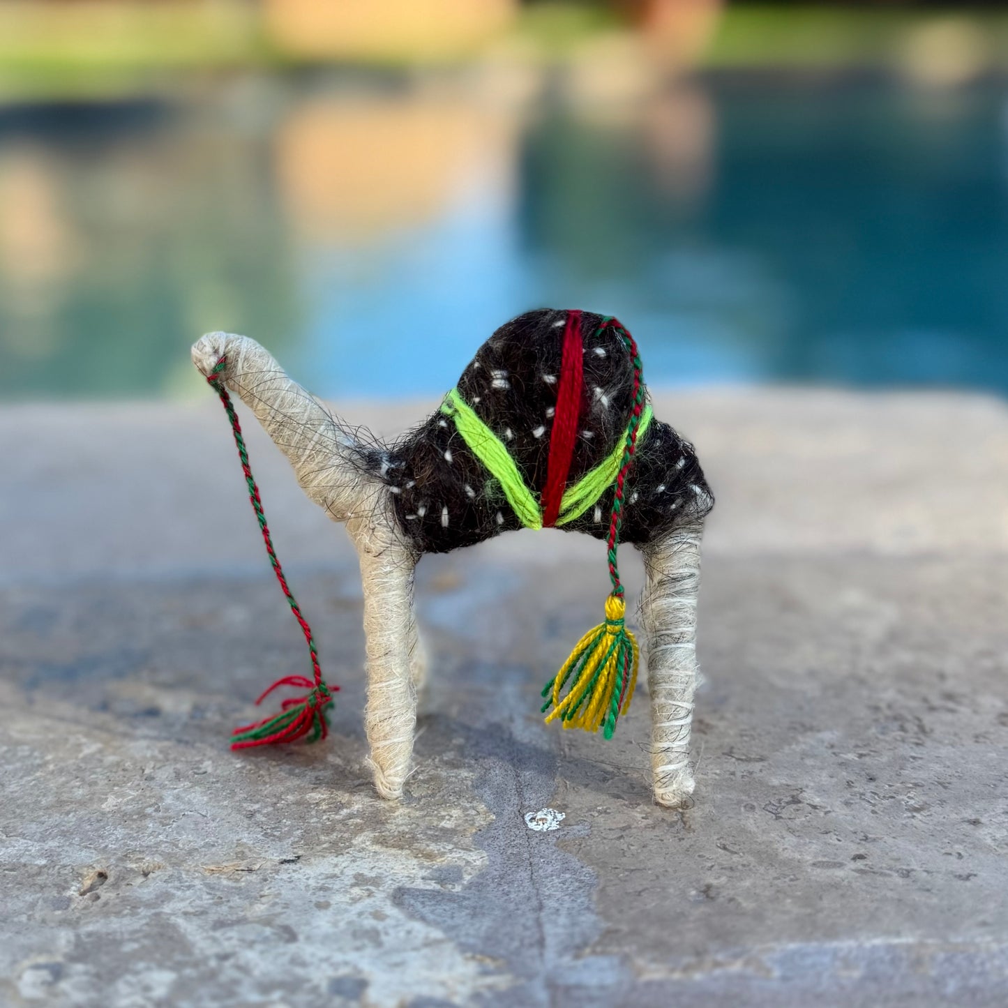 Handmade Sahara Desert Camel - “Nadir”