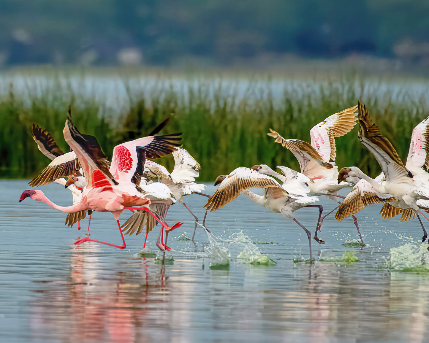 Places 2026 Calendar Is Now Available