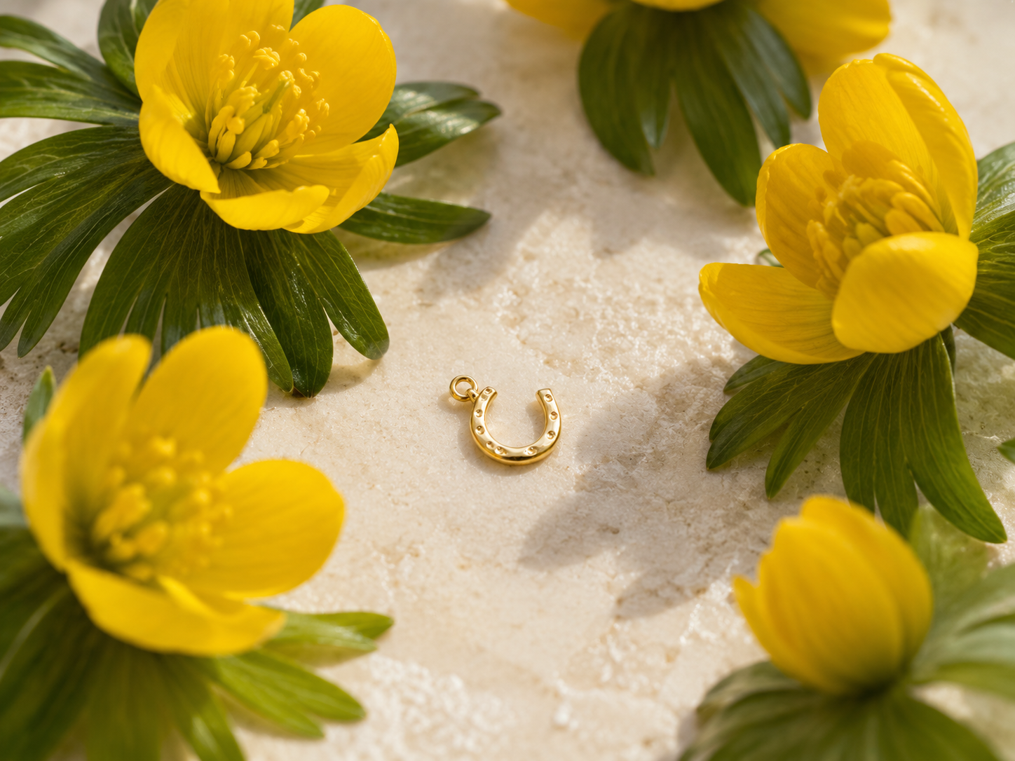 Lucky horseshoe charm