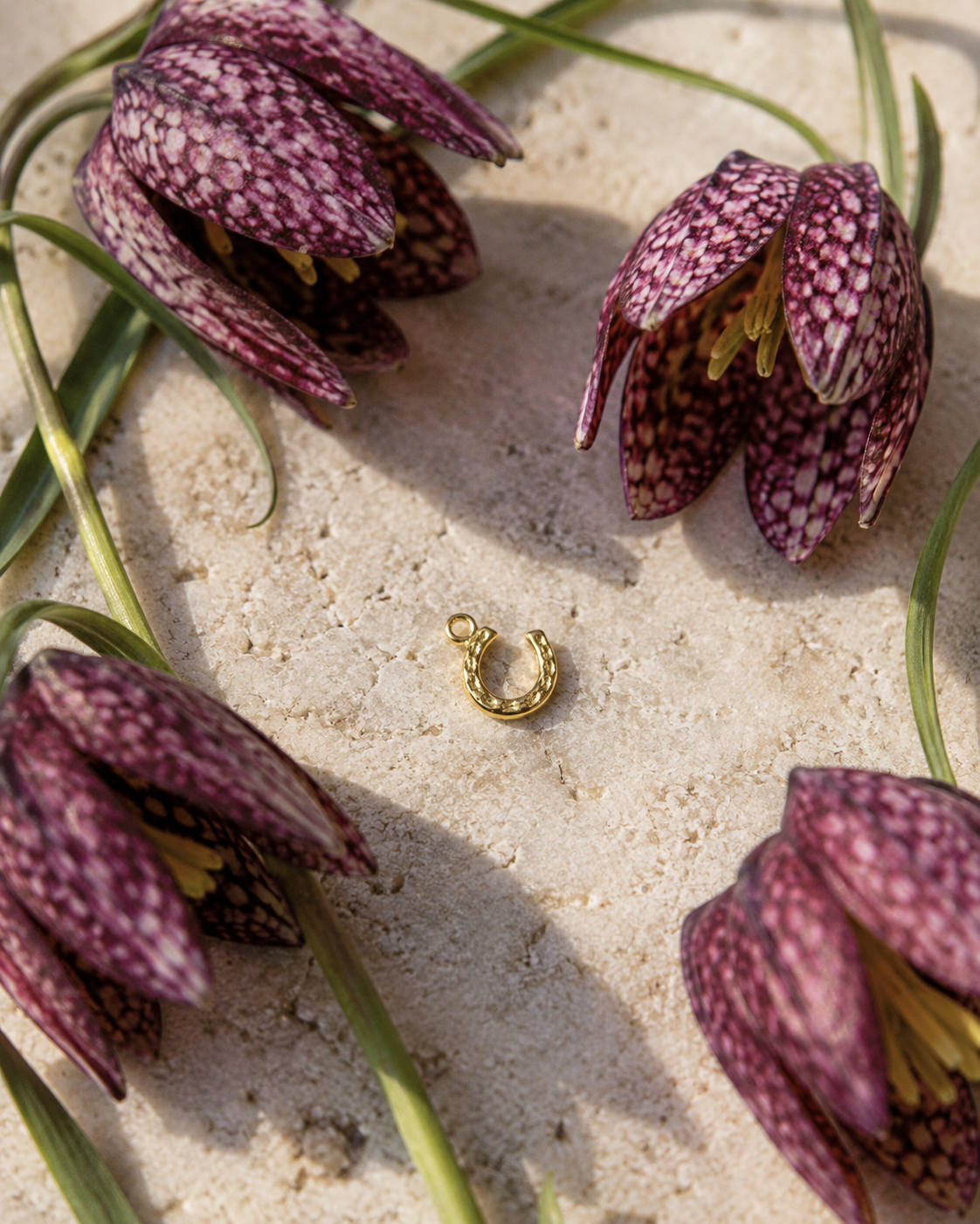 Golden horseshoe charm