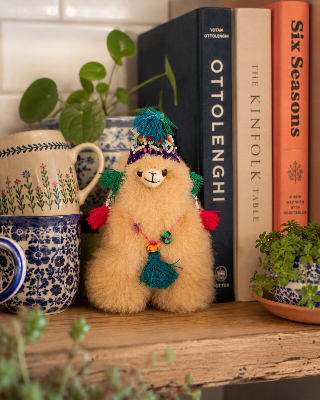 Nieve an Alpaca from Peru