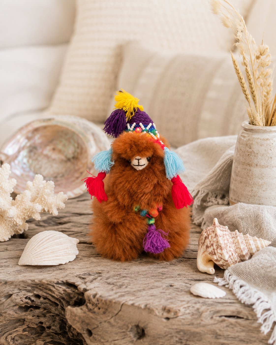 Koda an Alpaca from Peru