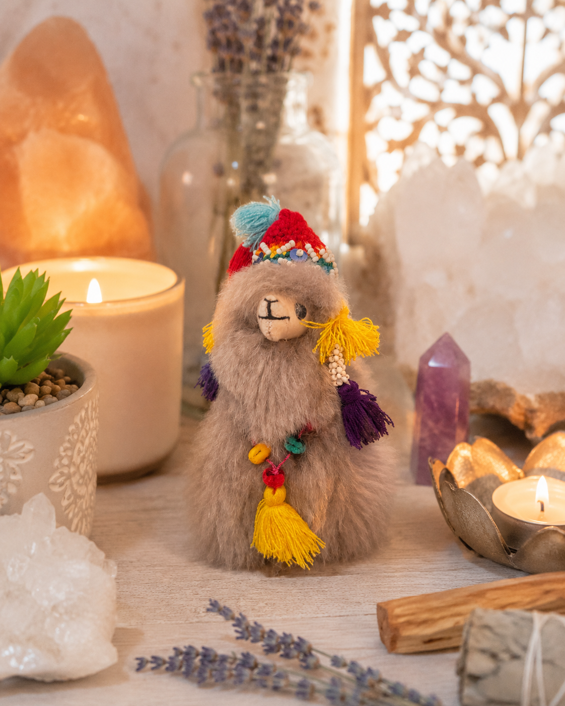 Ashby an Alpaca from Peru