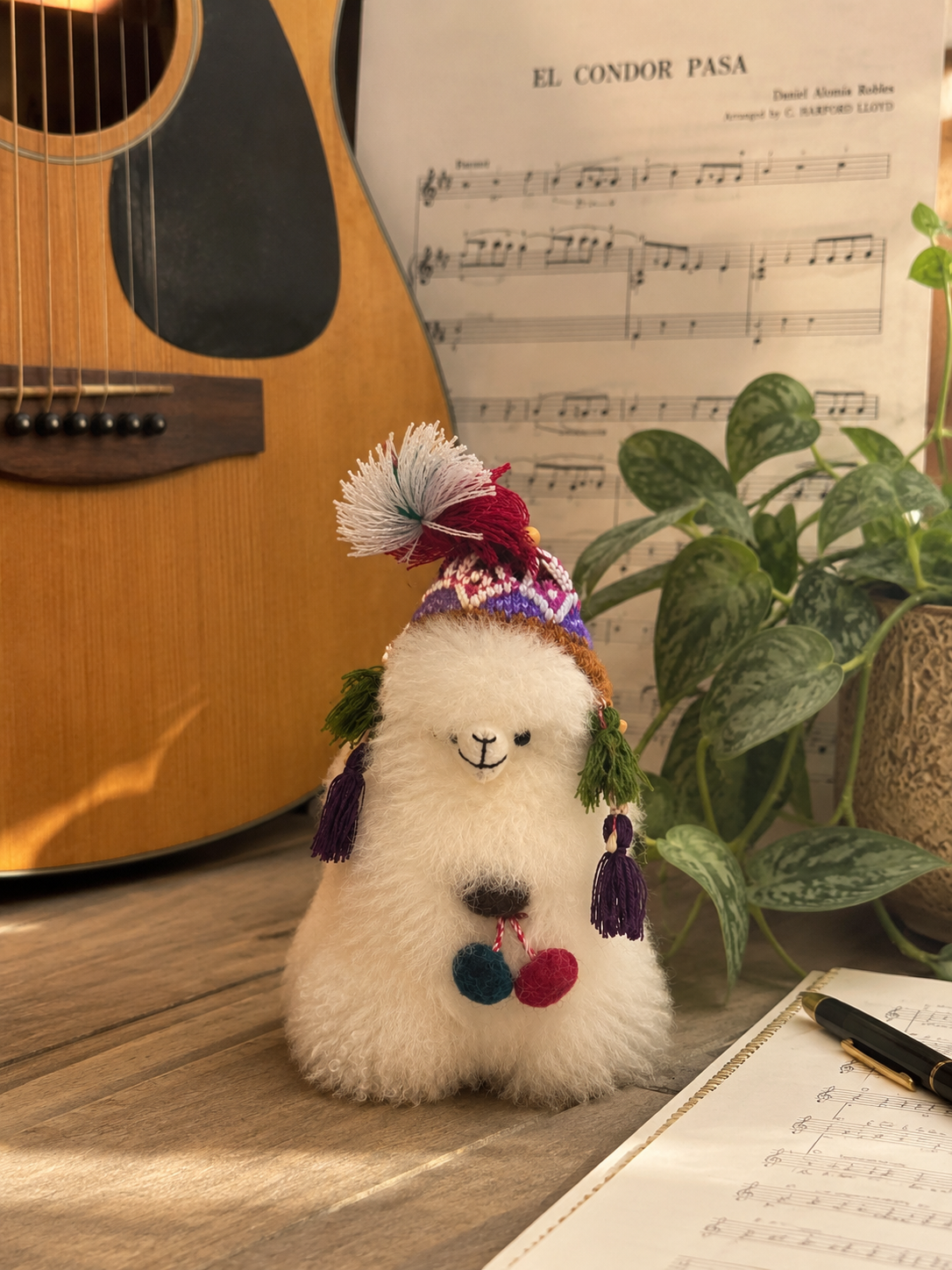 Vesper an Alpaca from Peru