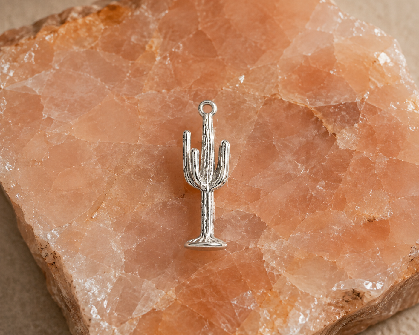 Sonoran Charm