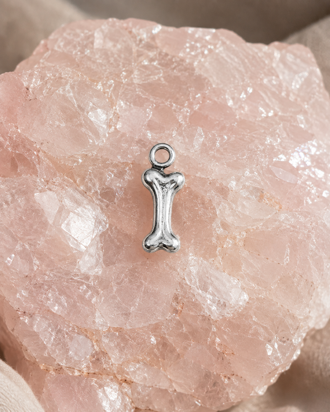 Companion Charm