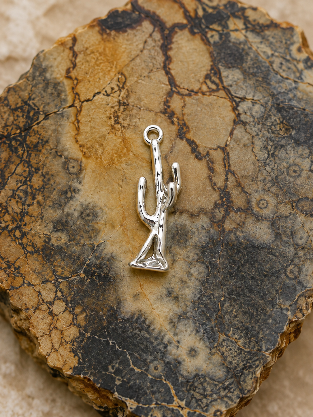 Desert Spirit Charm