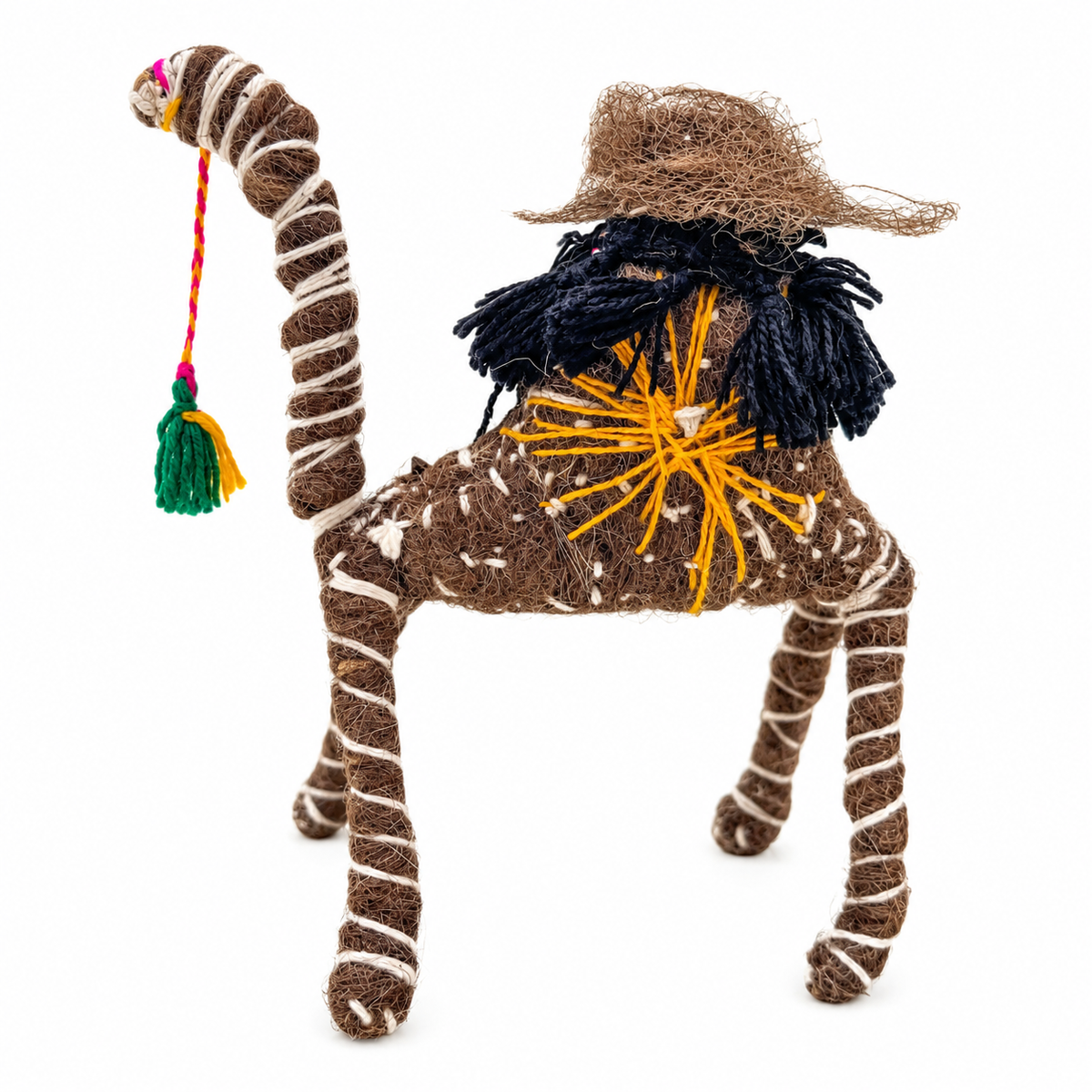 ELVIS A CAMEL FROM THE SAHARA