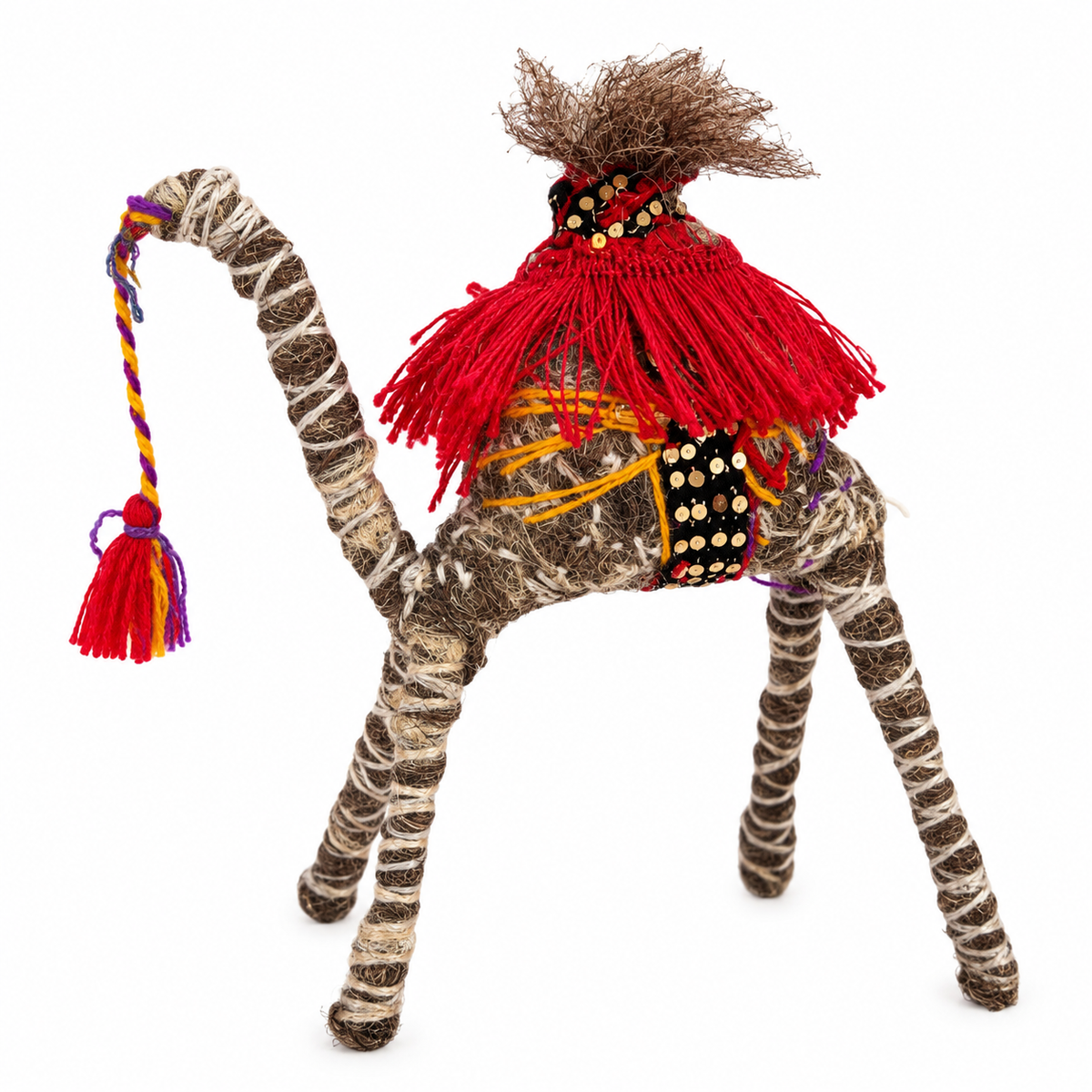 Louise  a Camel from the Sahara