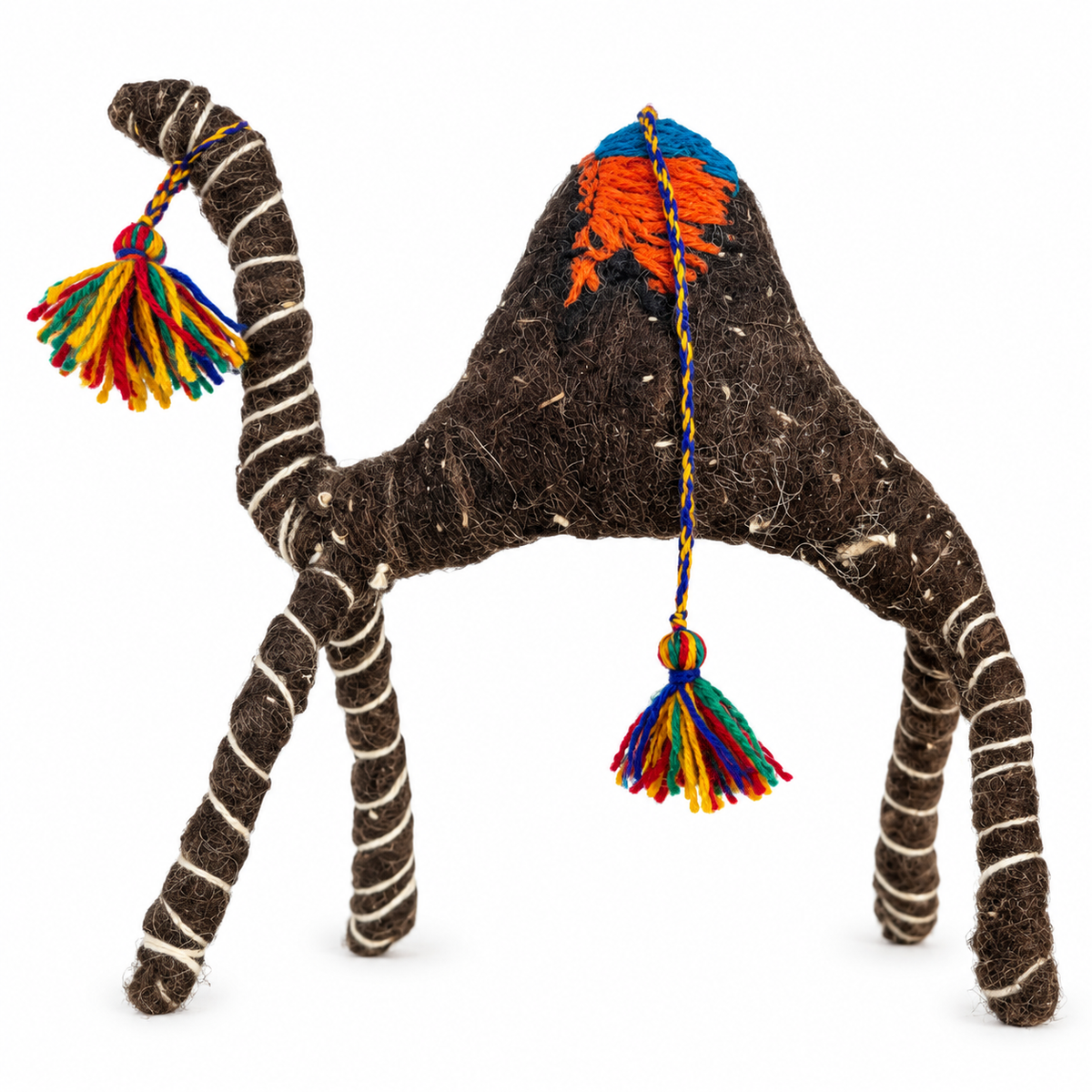 Henrietta a Camel from the Sahara