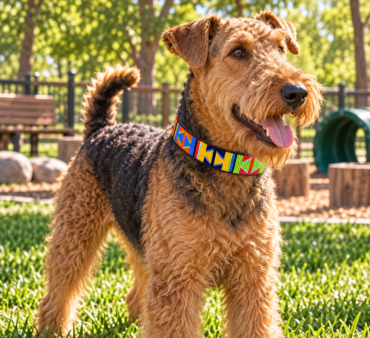 Dog Collar Large