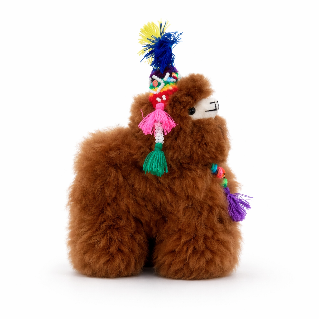 Benito an Alpaca from Peru