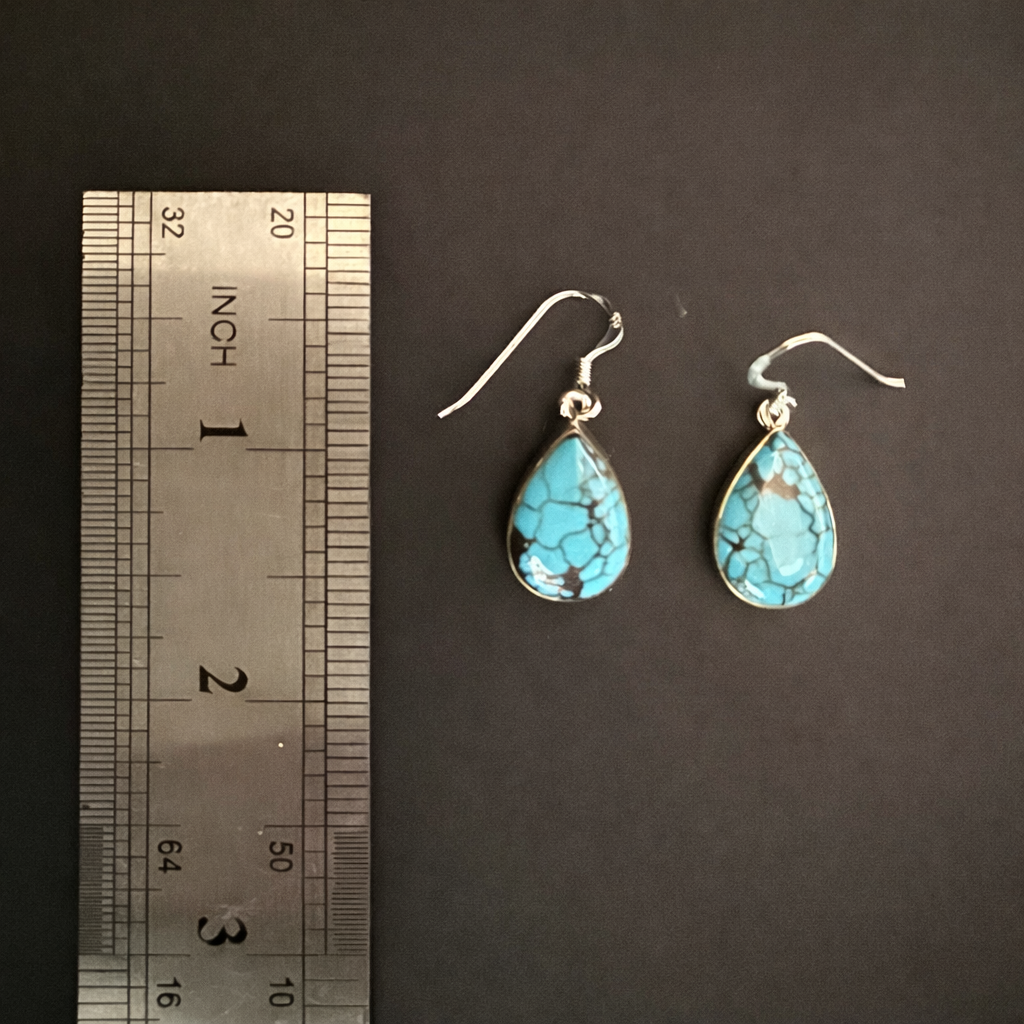 Turquoise Rain Drop Earrings