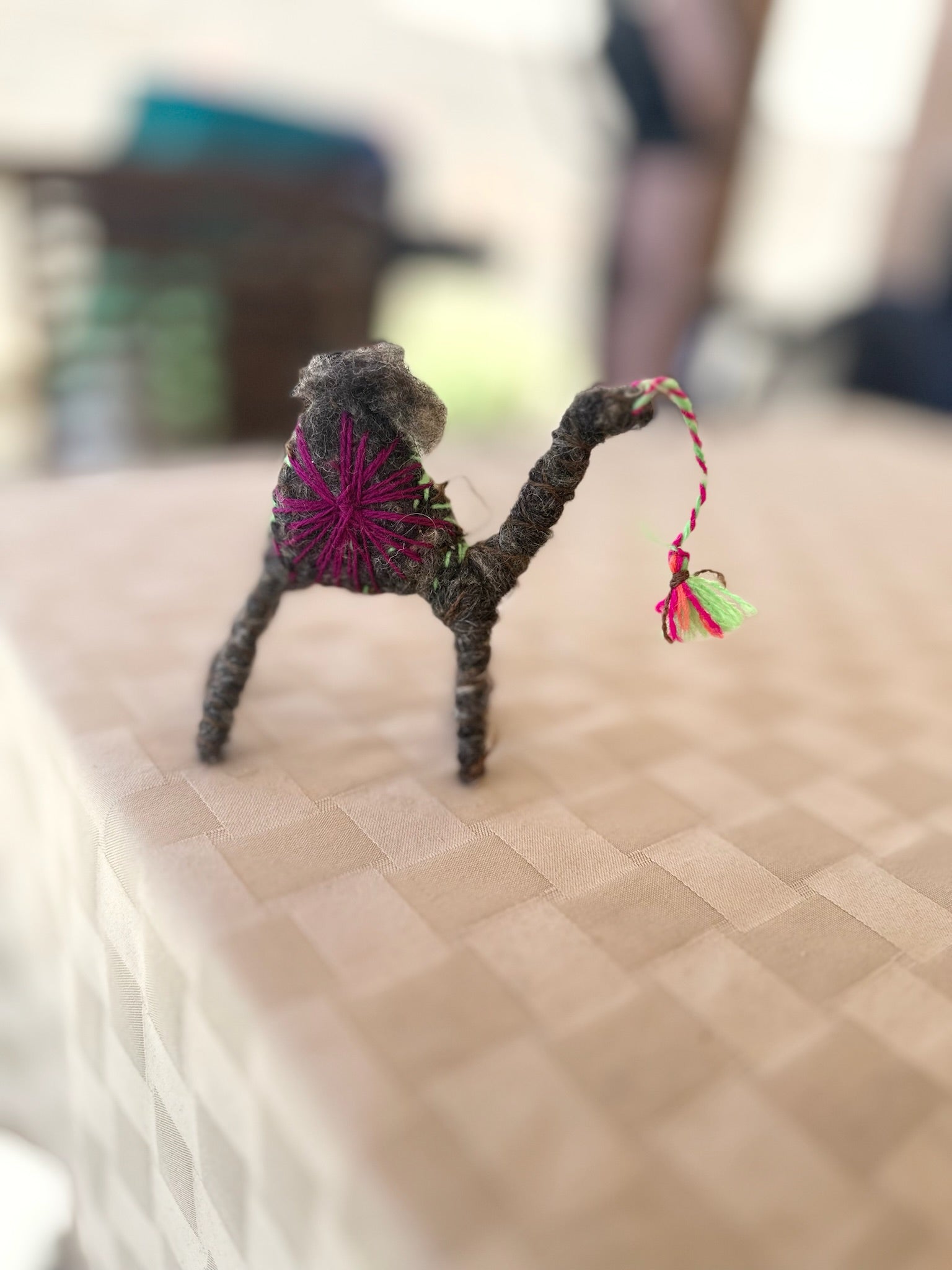 Taylor a Camel from the Sahara