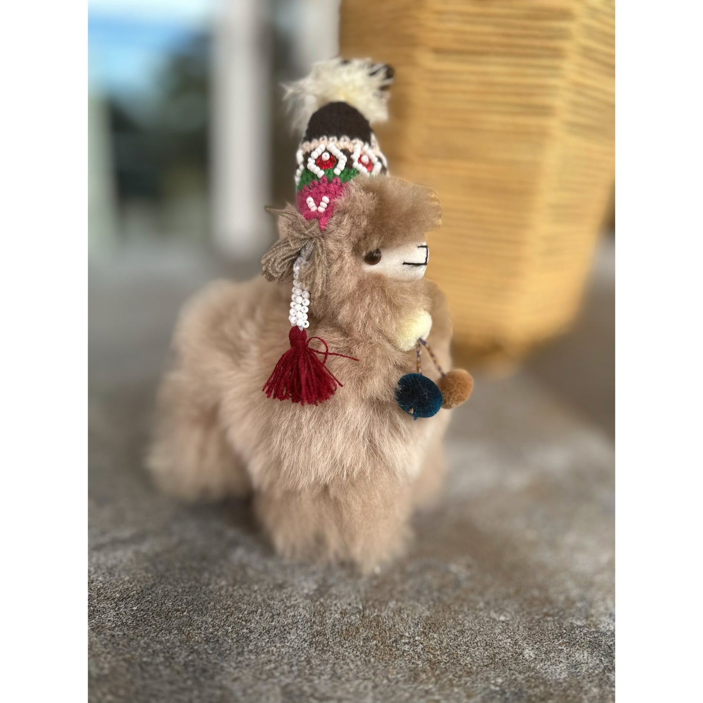 Llamas