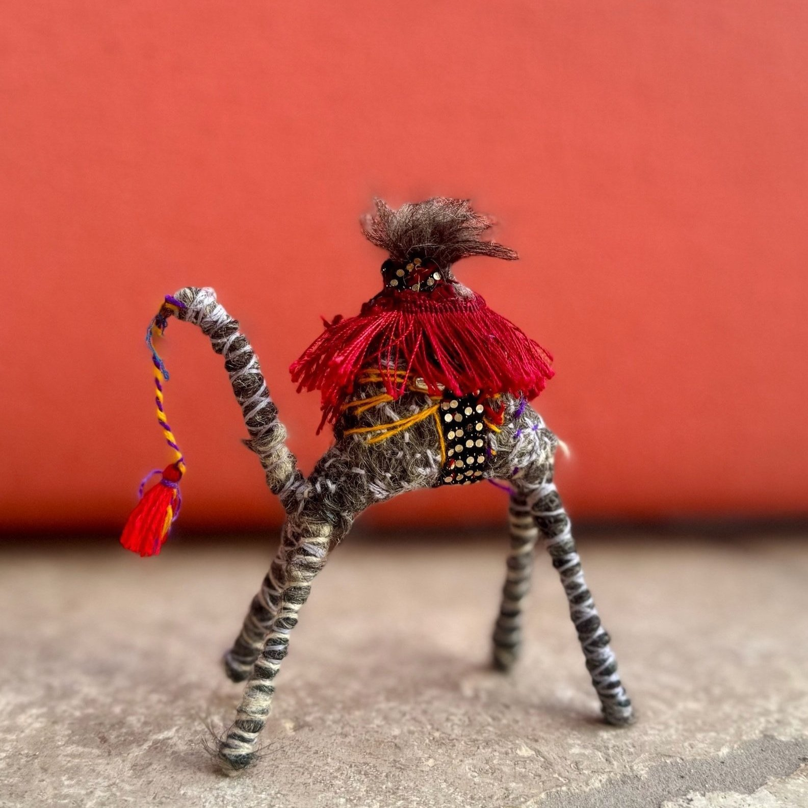 Louise  a Camel from the Sahara - World Love Global