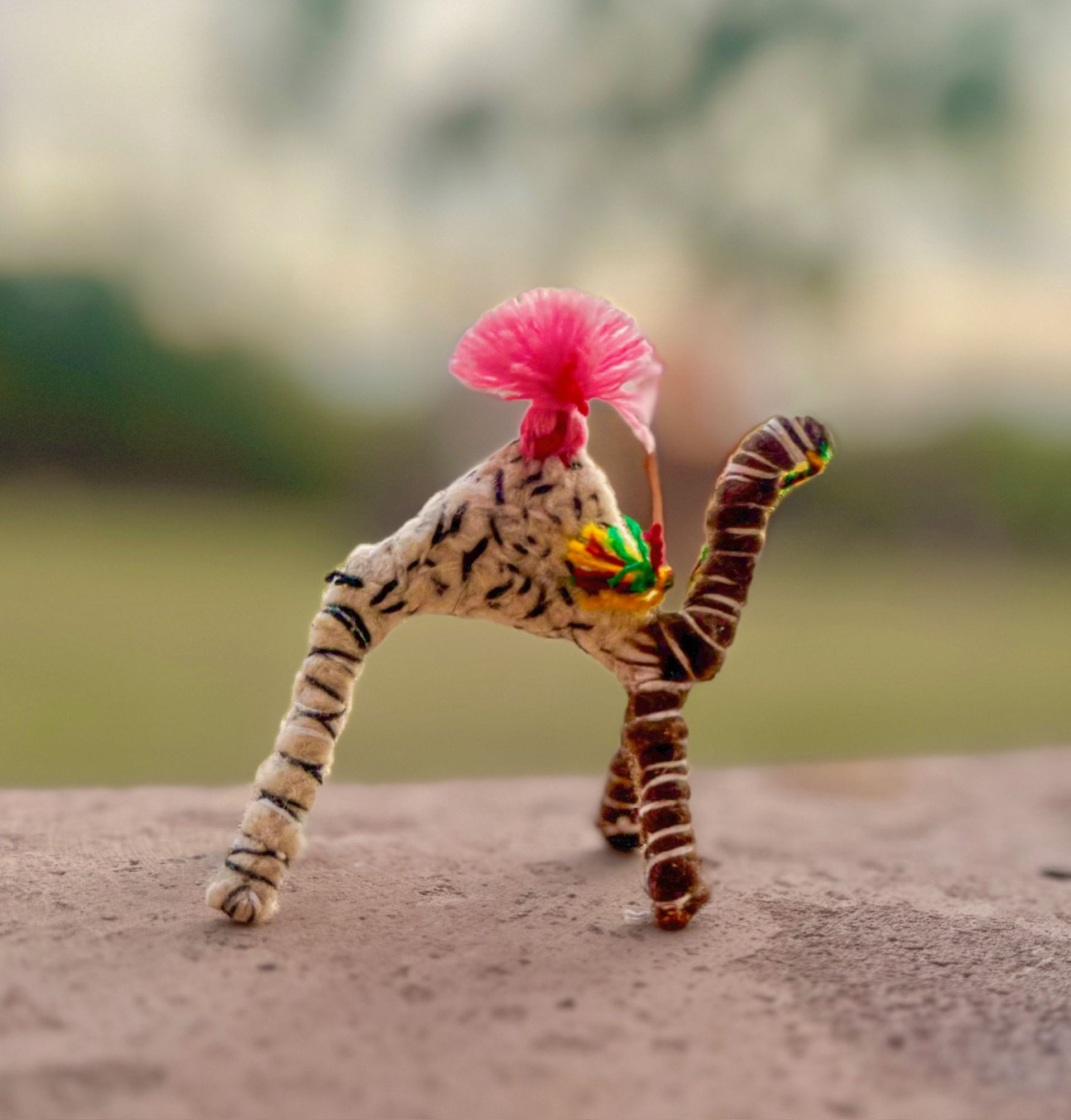 Pinkie a Camel of the Sahara