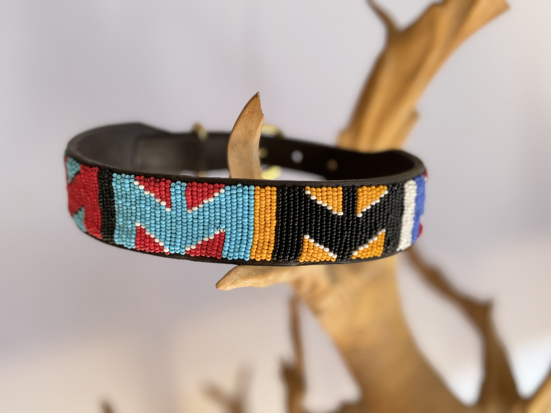 Dog Collar - Medium